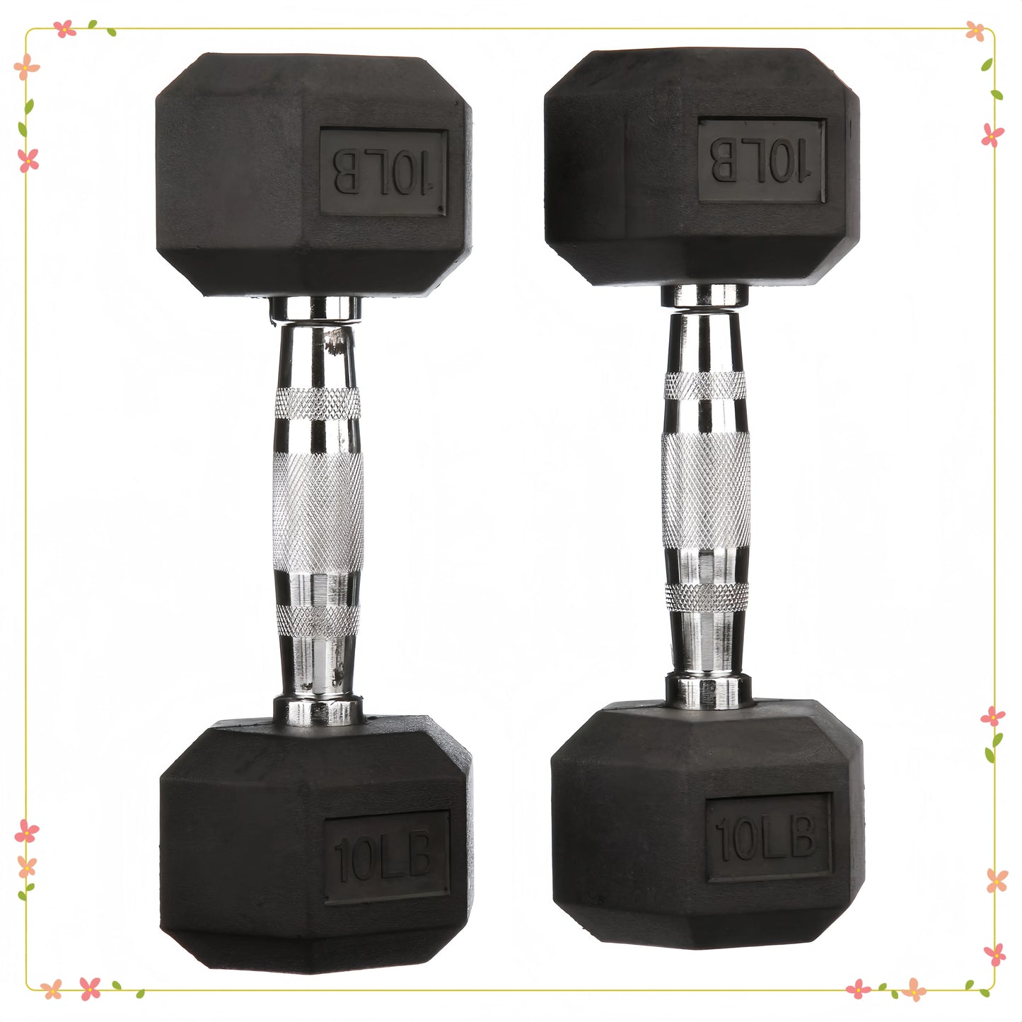 10lb Rubber Encased Hex Dumbbell