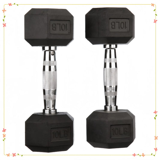 10lb Rubber Encased Hex Dumbbell