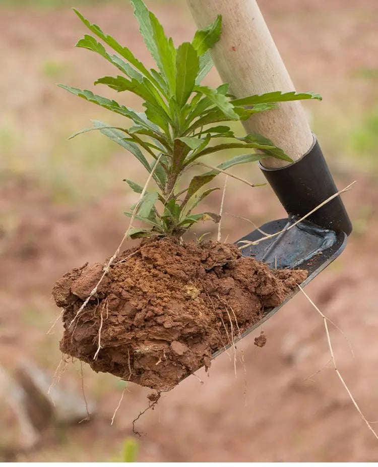 Small Hoe for Digging Soil Perfect for Gardening and Farming