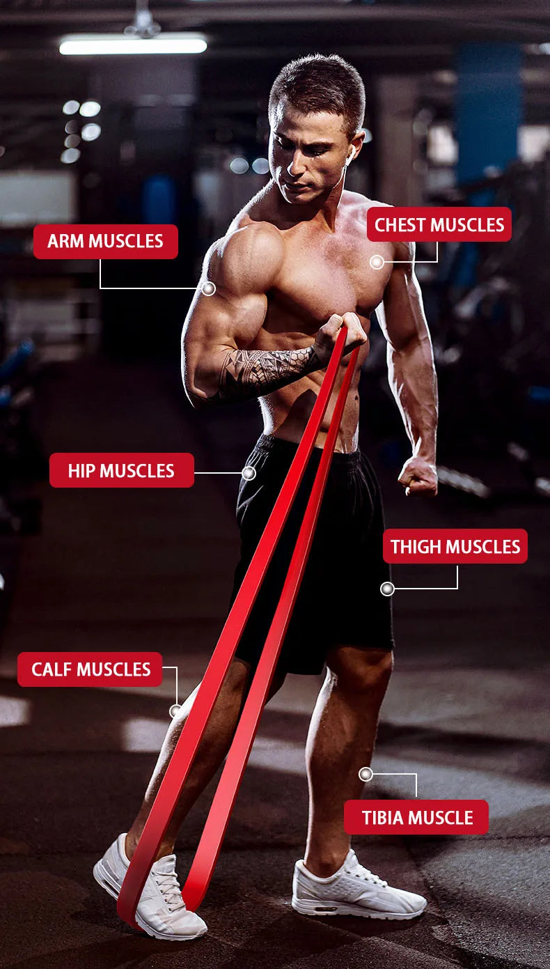 Resistance Bands for Full Body Workout and Training Set