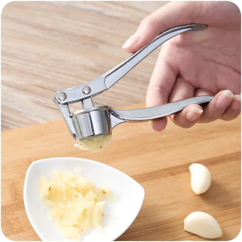 Stainless steel manual small garlic press